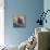 Rise' Ladybird on Chrysanthemum-Kirstie Adamson-Premier Image Canvas displayed on a wall