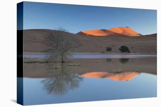 Rising Sun Catching the Summit of Towering Orange Sand Dunes with Reflections-Lee Frost-Premier Image Canvas