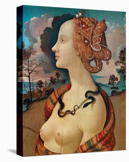 Rittrato di Simonetta Vespucci-Piero di Cosimo-Stretched Canvas