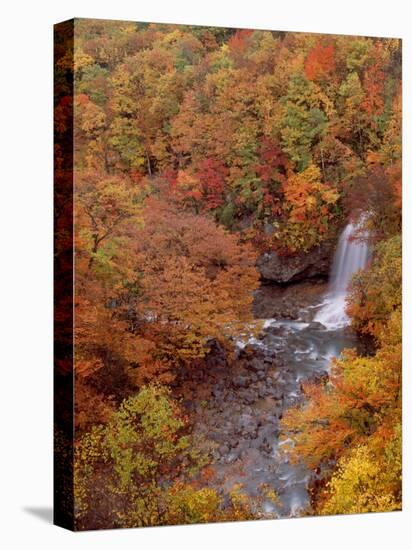 River and Autumn Leaves-null-Premier Image Canvas