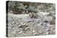 River Bed-John Singer Sargent-Premier Image Canvas