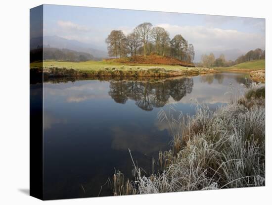 River Brathay in Winter, Near Elterwater, Lake District, Cumbria, England, United Kingdom-Steve & Ann Toon-Premier Image Canvas