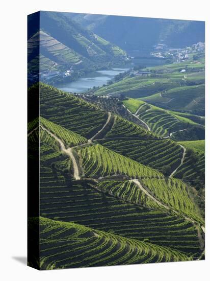 River Douro, Douro Region, Northern Portugal-Alan Copson-Premier Image Canvas