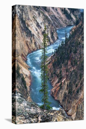 River Dreams Grand Canyon of the Yellowstone Unqure Detail Wyoming-Vincent James-Premier Image Canvas