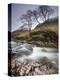 River Etive Flowing Through a Narrow Granite Gorge, Glen Etive, Highland, Scotland, United Kingdom-Lee Frost-Premier Image Canvas