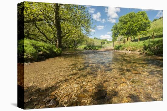 River Exe, Near Winsford, Exmoor National Park, Somerset, UK-Ross Hoddinott-Premier Image Canvas