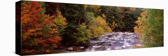 River Flowing Through a Forest, Ausable River, Adirondack Mountains, Wilmington, Essex County-null-Premier Image Canvas