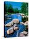 River flowing through a forest, Ausable River, Lake Placid, Adirondack Mountains, Essex County,...-null-Premier Image Canvas