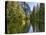 River Flowing Through a Forest, Merced River, Yosemite Valley, Yosemite National Park, Californi...-null-Premier Image Canvas