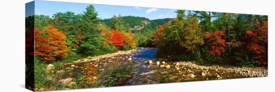 River Flowing Through a Forest, Swift River, White Mountain National Forest, Carroll County-null-Premier Image Canvas