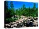 River flowing through a forest, West Branch Ausable River, Adirondack Mountains, New York State...-null-Premier Image Canvas