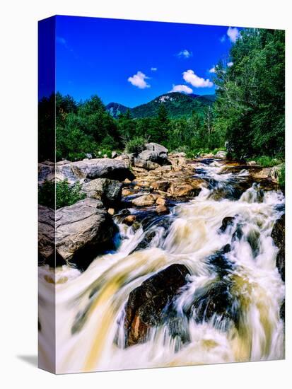 River flowing through a forest, West Branch Ausable River, Adirondack Mountains, New York State...-null-Premier Image Canvas