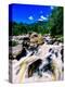 River flowing through a forest, West Branch Ausable River, Adirondack Mountains, New York State...-null-Premier Image Canvas