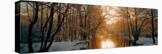River Flowing Through a Forest-null-Premier Image Canvas