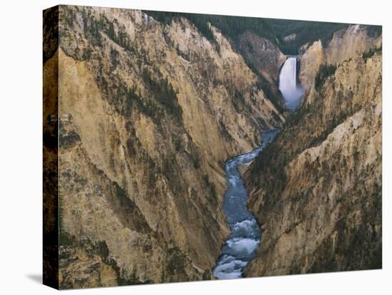 River Flowing Through Canyon, Lower Falls, Yellowstone River, Yellowstone National Park, Wyoming-Scott T. Smith-Premier Image Canvas