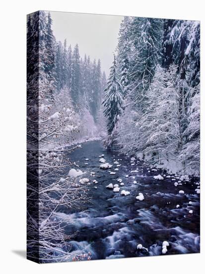 River flowing through snow covered forest, North Santiam River, Willamette National Forest, Lane...-null-Premier Image Canvas