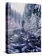 River flowing through snow covered forest, North Santiam River, Willamette National Forest, Lane...-null-Premier Image Canvas