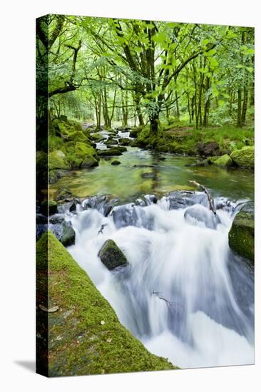 River Fowey, Goliath Falls, Looe, Cornwall, England, United Kingdom, Europe-Kav Dadfar-Premier Image Canvas