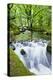 River Fowey, Goliath Falls, Looe, Cornwall, England, United Kingdom, Europe-Kav Dadfar-Premier Image Canvas