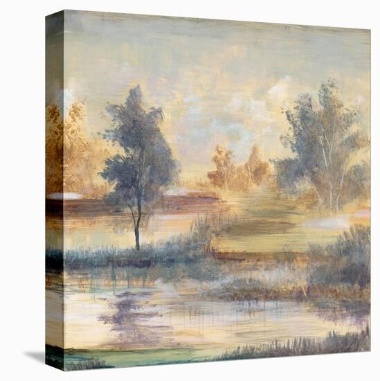 River Glade I-Augustine-Stretched Canvas