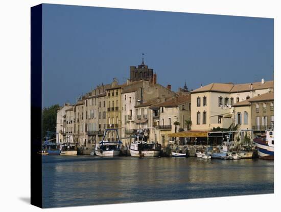 River Herault, Languedoc Roussillon, France, Europe-David Hughes-Premier Image Canvas