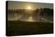 River Landscape, the Rhine, Fog Mood, Sunrise, Speyer, Rhineland-Palatinate, Germany-Ronald Wittek-Premier Image Canvas