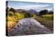 River Mendoza (Rio Mendoza) and the Andes Mountains at Uspallata, Mendoza Province, Argentina-Matthew Williams-Ellis-Premier Image Canvas