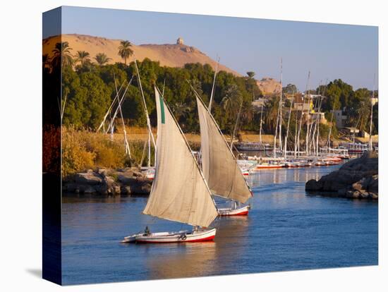 River Nile, Aswan, Upper Egypt, Egypt, North Africa, Africa-Alan Copson-Premier Image Canvas