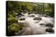 River Plym Flowing Fast Through Dewerstone Wood, Shaugh Prior, Dartmoor Np Devon, UK, October-Ross Hoddinott-Premier Image Canvas