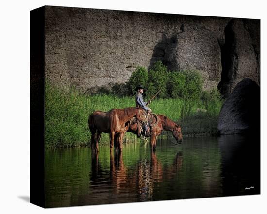 River Rider (color)-Barry Hart-Stretched Canvas