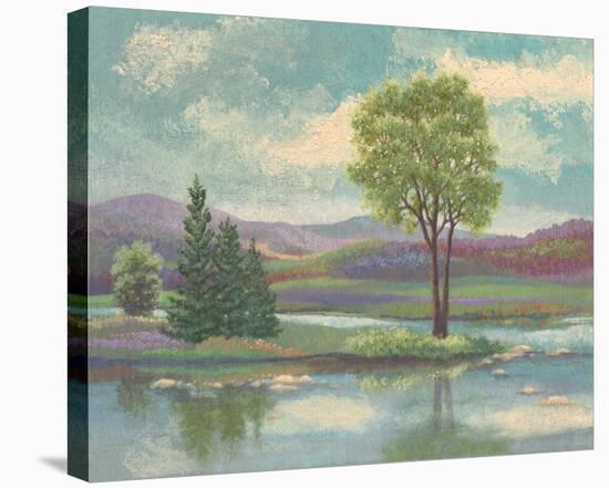 River Scape I-Victor Valla-Stretched Canvas