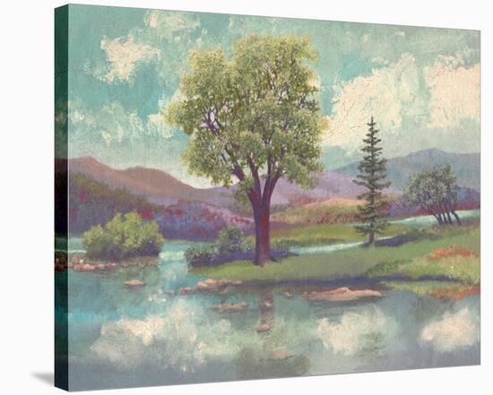 River Scape II-Victor Valla-Stretched Canvas