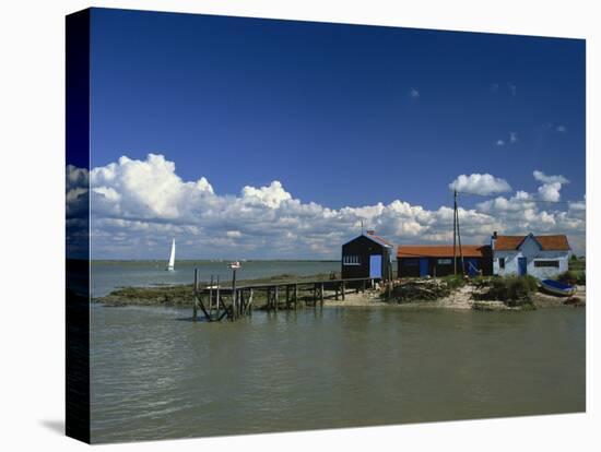 River Seudre, Le Tregarde, Charente Maritime, Poitou-Charentes, France, Europe-David Hughes-Premier Image Canvas