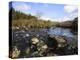 River Strontian, Strontian, Argyll, Scotland, United Kingdom, Europe-Toon Ann & Steve-Premier Image Canvas