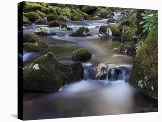 River Teign, Dartmoor National Park, Devon, England, United Kingdom, Europe-Jeremy Lightfoot-Premier Image Canvas