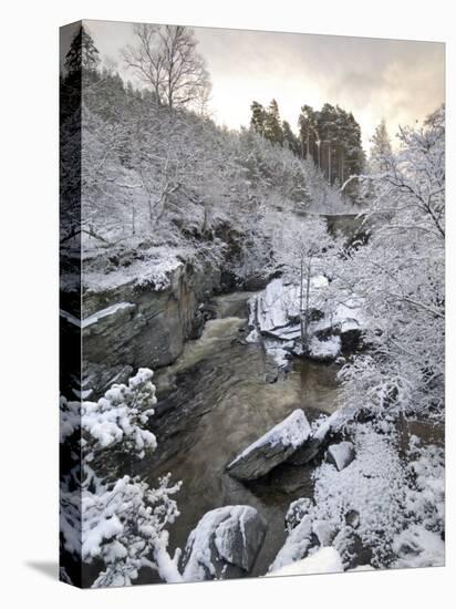 River Tromie in Winter Snow, Drumguish Near Kingussie, Highlands, Scotland, United Kingdom, Europe-Gary Cook-Premier Image Canvas