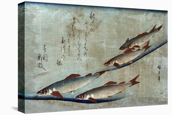 River Trout, Japanese Wood-Cut Print-Lantern Press-Stretched Canvas