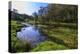 River Weed and Marsh Marigolds (Caltha Palustris) of Lathkill Dale in Spring-Eleanor Scriven-Premier Image Canvas