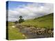 River Wharfe, Upper Wharfedale, Yorkshire Dales National Park, North Yorkshire, England, UK-White Gary-Premier Image Canvas