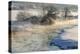 River Whiteadder in snow with steam rising from water-Laurie Campbell-Premier Image Canvas