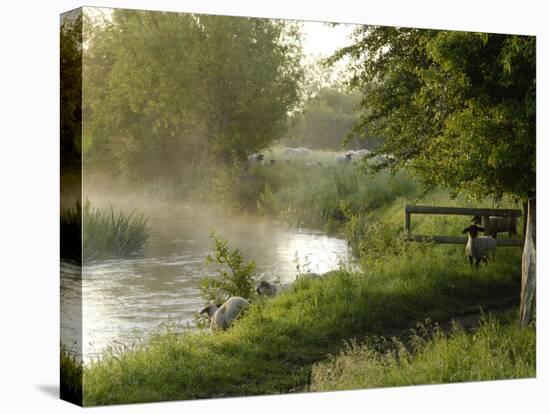 River Windrush Near Burford, Oxfordshire, the Cotswolds, England, United Kingdom, Europe-Rob Cousins-Premier Image Canvas