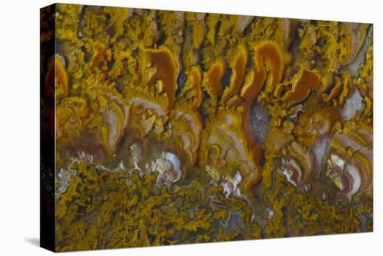 Rivera Plume Agate, Mexico-Darrell Gulin-Premier Image Canvas