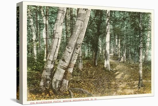 Riverside Path, White Mountains, New Hampshire-null-Stretched Canvas