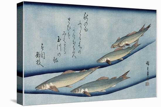 Rivertrout', from the Series 'Collection of Fish'-Utagawa Hiroshige-Premier Image Canvas