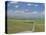 Road Across Prairie Wheatlands, South of Calgary, Alberta, Canada-Anthony Waltham-Premier Image Canvas