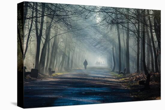 Road and Sunbeams in Strong Fog in the Forest, Poland.-Curioso Travel Photography-Premier Image Canvas