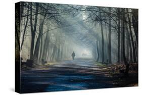 Road and Sunbeams in Strong Fog in the Forest, Poland.-Curioso Travel Photography-Premier Image Canvas