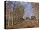 Road at the Forest Fringe (Forest of Fontainebleau Near Moret-Su-Loing), 1883-Alfred Sisley-Premier Image Canvas