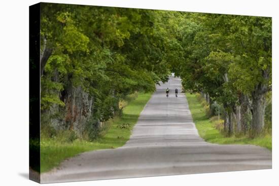 Road Bicycling under a Tunnel of Trees on Rural Road Near Glen Arbor, Michigan, Usa-Chuck Haney-Premier Image Canvas