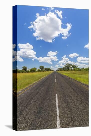 Road, Botswana, Africa-Peter Adams-Premier Image Canvas